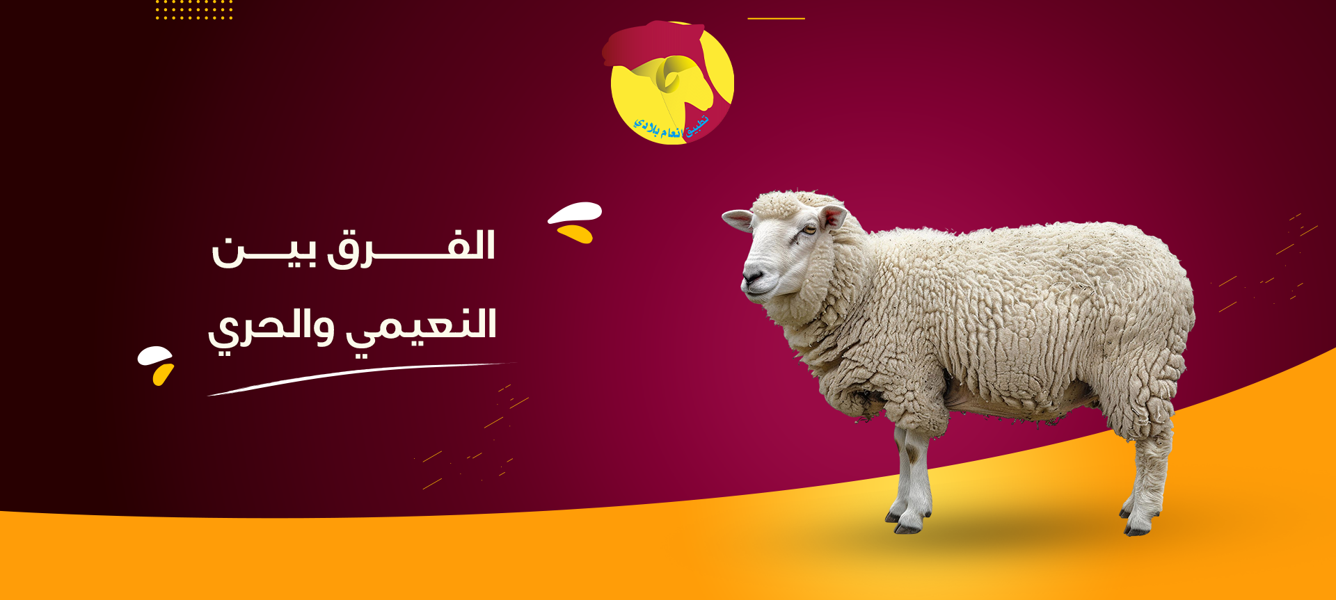 الفرق بين النعيمي والحري: كيف تختار الذبيحة المناسبة؟