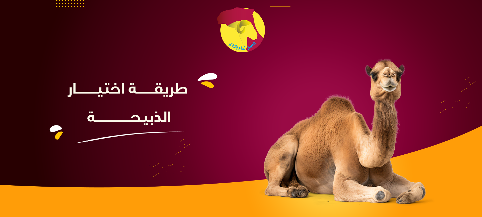 طريقة اختيار الذبيحة المناسبة للمناسبات والأضاحي